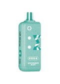 Off-Stamp 25K Pod – Wintergreen Blast | 25,000 Puffs | 5% Salt Nic