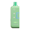 Off-Stamp 25K Pod – Double Mint | 25,000 Puffs | 5% Salt Nic